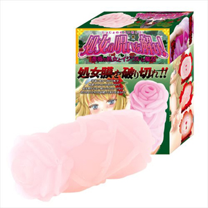 処女の呪いを解け!ノーマルType