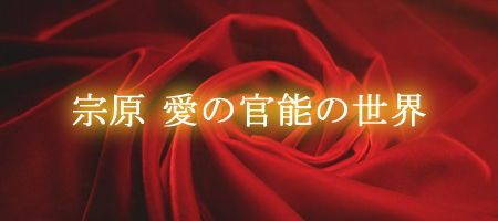 宗原愛の官能の世界